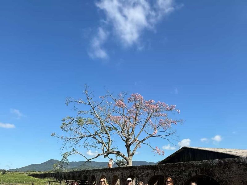 Aqueduto de Candelária e Parque Witeck