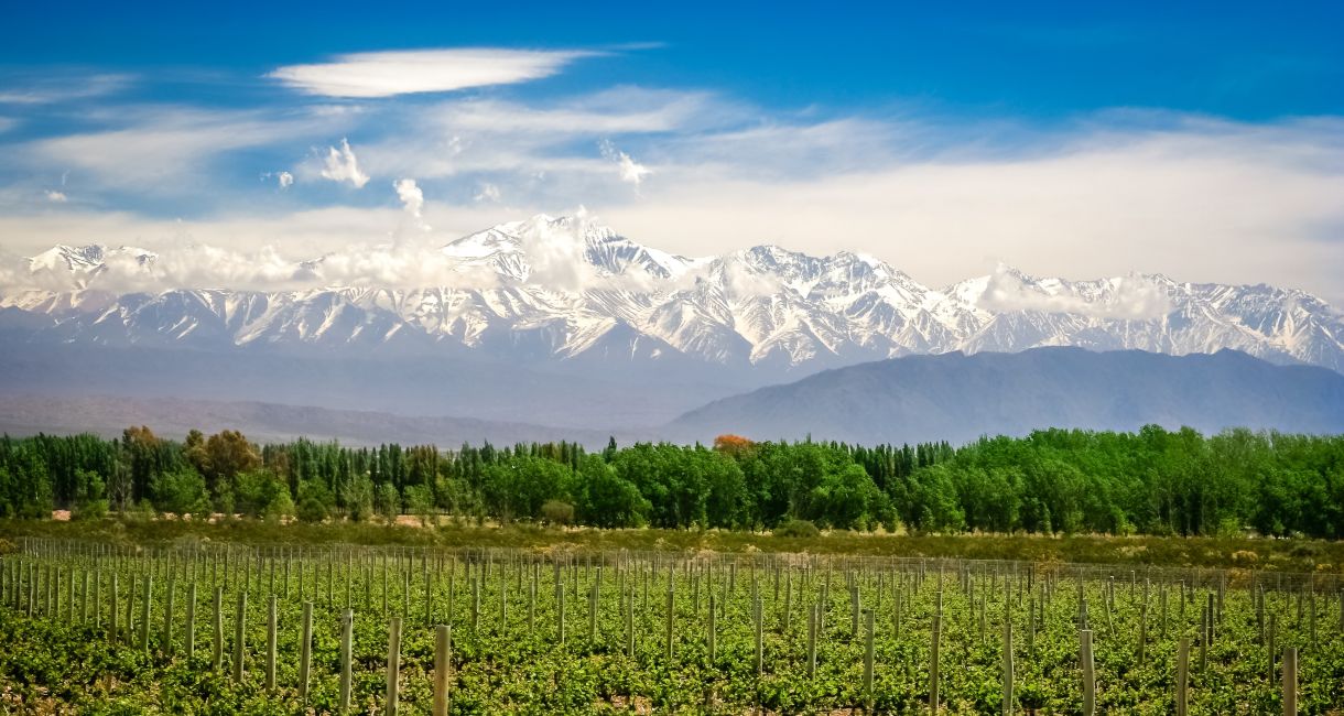 Mendoza Premium: Vinhos, Neve e Cordilheira dos Andes