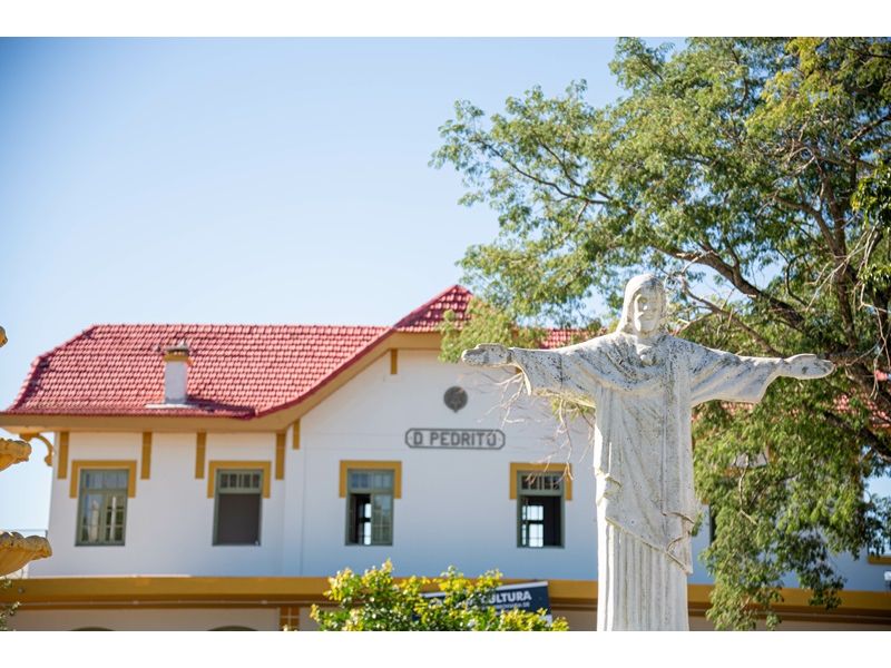 Campanha Gaúcha e Trem do Pampa - Bagé, Dom Pedrito, Sant`Ana do Livramento e Rivera - 12x Sem juros - imagem 15