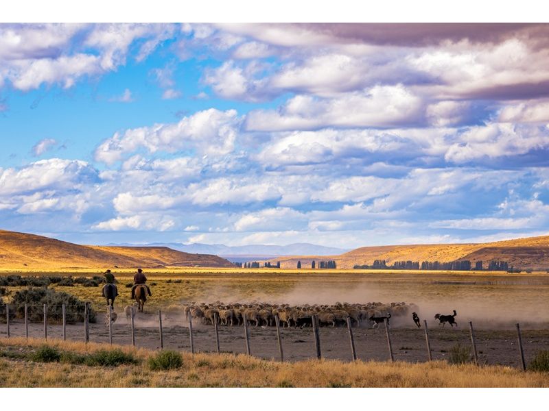 Campanha Gaúcha e Trem do Pampa - Bagé, Dom Pedrito, Sant`Ana do Livramento e Rivera - 12x Sem juros
