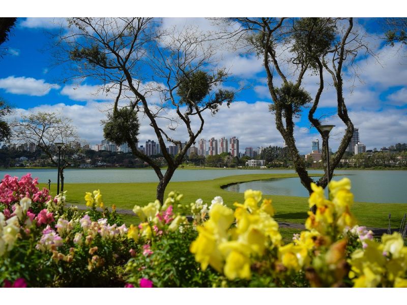 Curitiba, Ilha do Mel e Trem Serra Mar/PR - (AÉREO) - imagem 13