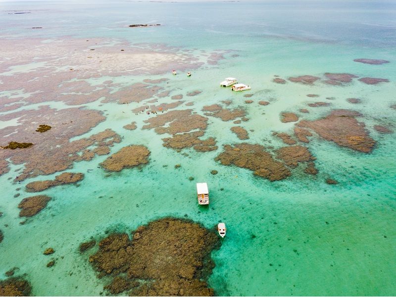 Maceió e Maragogi/AL - 12x Sem juros - imagem 7