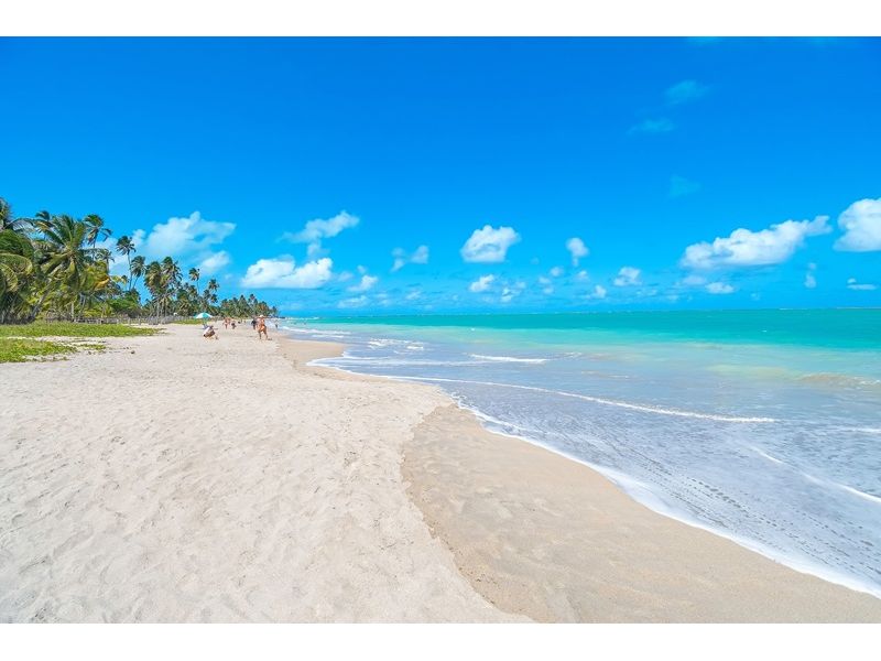 Maceió e Maragogi/AL - 12x Sem juros - imagem 14