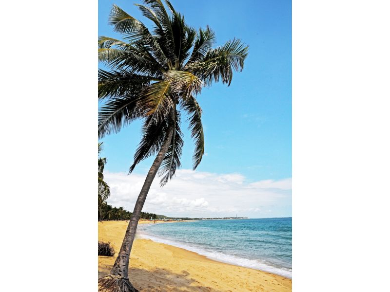 Maceió e Maragogi/AL - 12x Sem juros - imagem 23