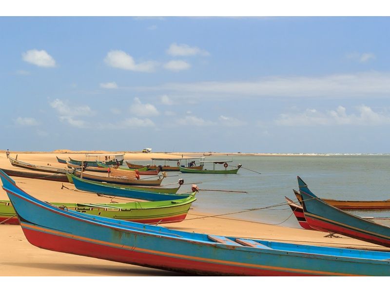 Maceió e Maragogi/AL - 12x Sem juros - imagem 13