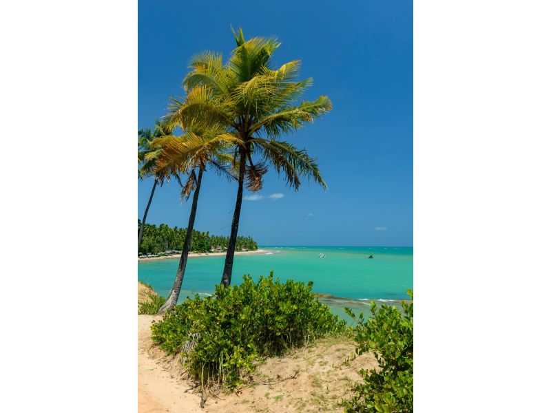 Maceió e Maragogi/AL - 12x Sem juros - imagem 19