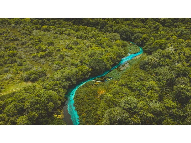 Circuito Pantaneiro - Bonito e Pantanal/MS - 12x Sem juros - imagem 15