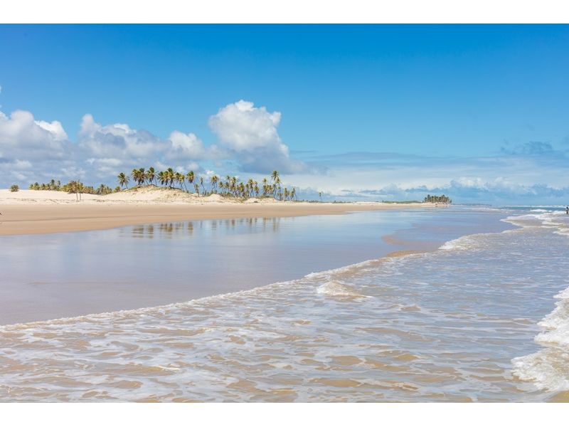 Aracaju e Cânions do Xingó/SE - 12x Sem juros - imagem 15