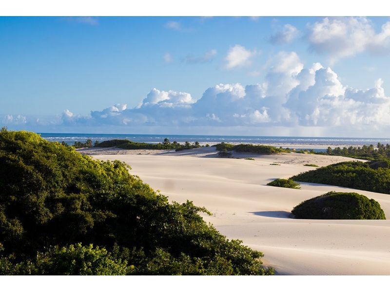 Aracaju e Cânions do Xingó/SE - 12x Sem juros - imagem 8
