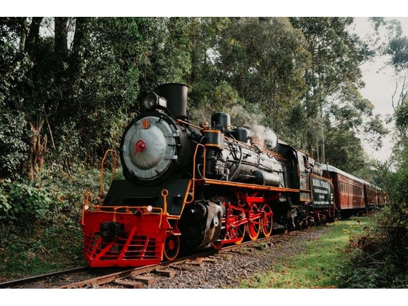 Ferrovia do Vinho - Maria Fumaça de Bento Gonçalves/RS - imagem 9