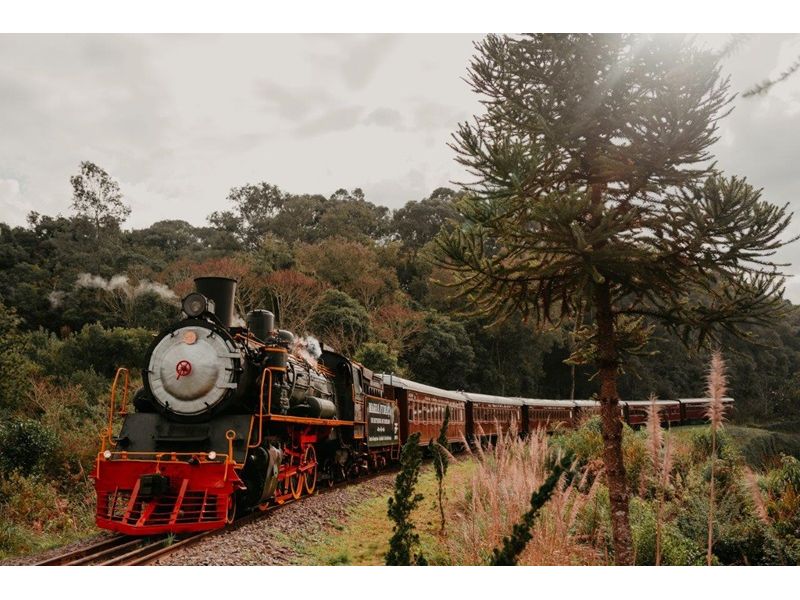 Ferrovia do Vinho - Maria Fumaça de Bento Gonçalves/RS - imagem 4