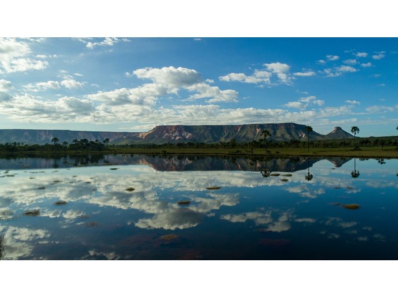 Jalapão e Palmas - imagem 17