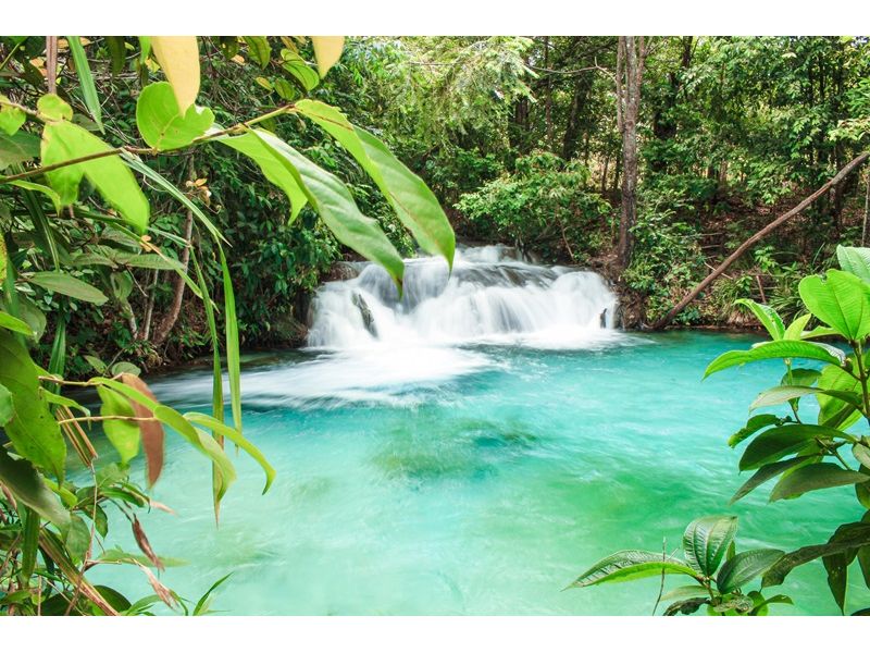 Jalapão e Palmas - imagem 8