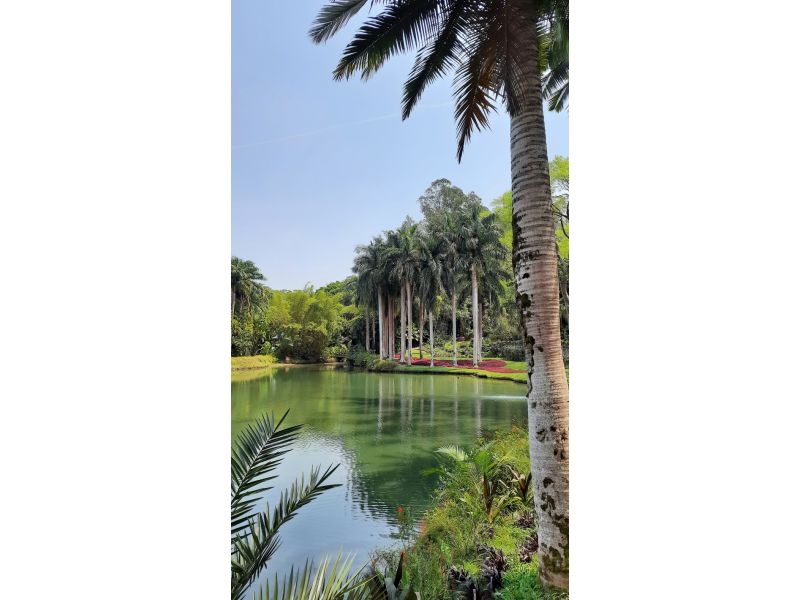 Minas Histórica e Inhotim: Ouro Preto, Tiradentes, São João del Rei, Brumadinho e Belo Horizonte - imagem 17