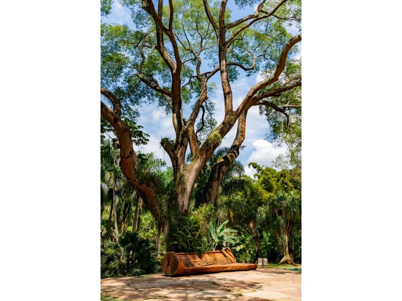 Minas Histórica e Inhotim: Ouro Preto, Tiradentes, São João del Rei, Brumadinho e Belo Horizonte - imagem 20