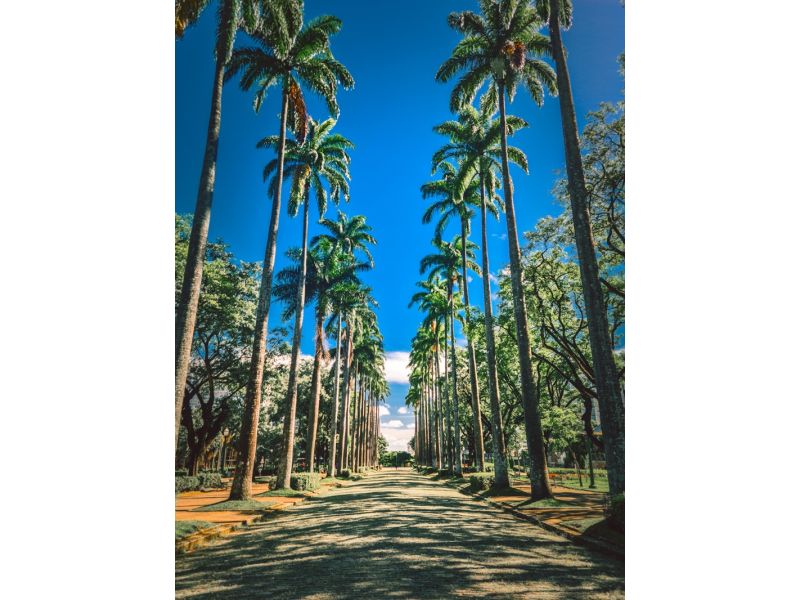 Minas Histórica e Inhotim: Ouro Preto, Tiradentes, São João del Rei, Brumadinho e Belo Horizonte - imagem 15