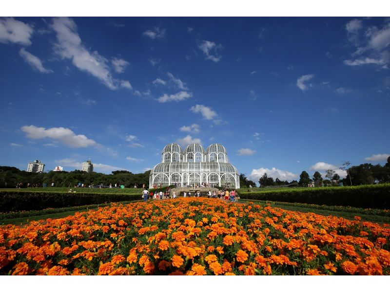 Curitiba, Ilha do Mel e Trem Serra Mar