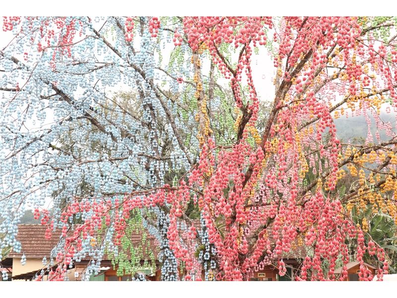 Vale Europeu e Osterfest: Blumenau, Pomerode e Timbó - imagem 6