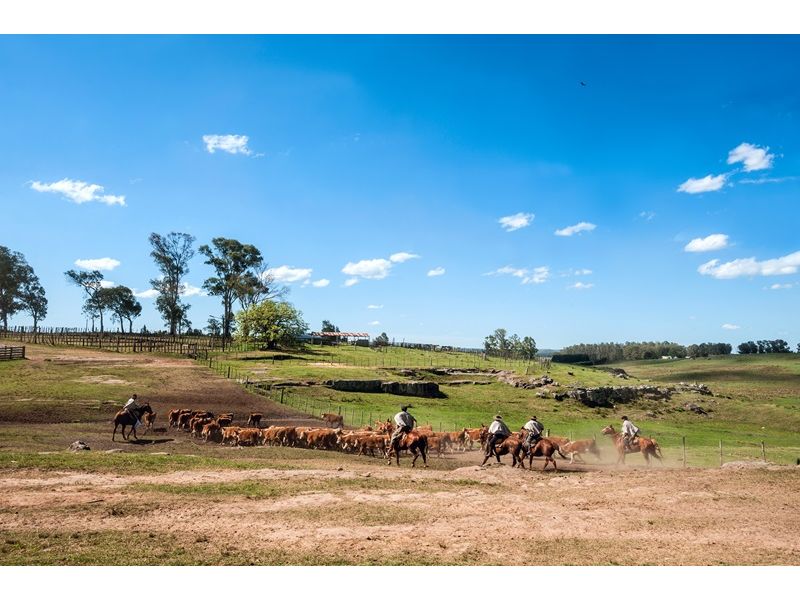 Campanha Gaúcha e Trem do Pampa: Bagé, Dom Pedrito, Sant`Ana do Livramento e Rivera - imagem 20