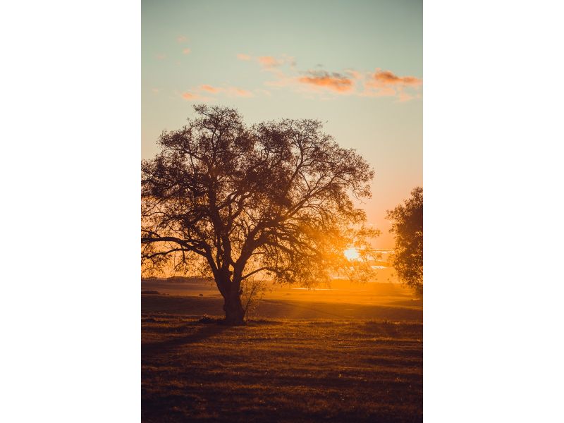 Campanha Gaúcha e Trem do Pampa: Bagé, Dom Pedrito, Sant`Ana do Livramento e Rivera - imagem 24