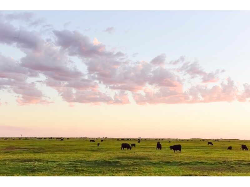 Campanha Gaúcha e Trem do Pampa: Bagé, Dom Pedrito, Sant`Ana do Livramento e Rivera - imagem 17