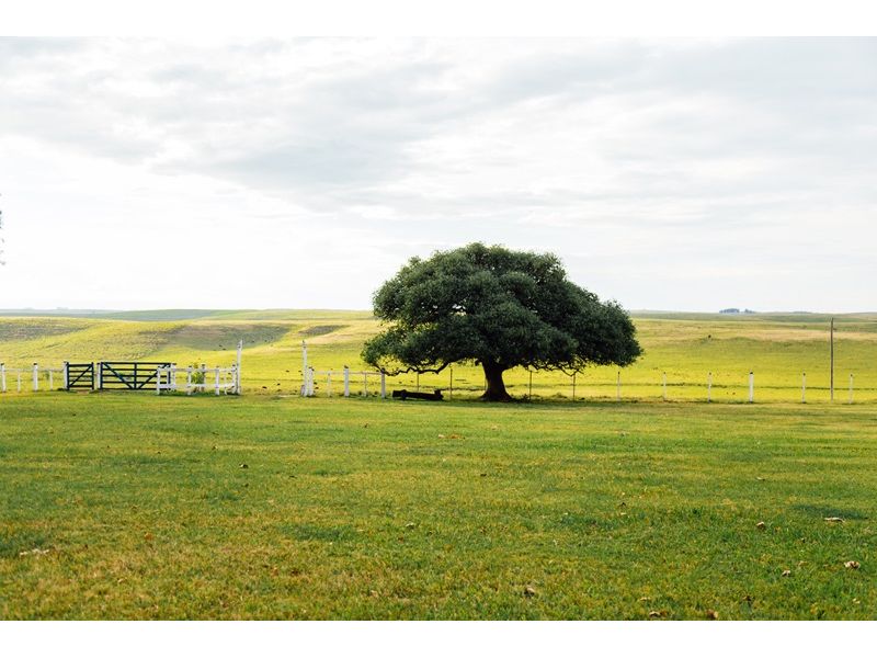 Campanha Gaúcha e Trem do Pampa: Bagé, Dom Pedrito, Sant`Ana do Livramento e Rivera - imagem 5