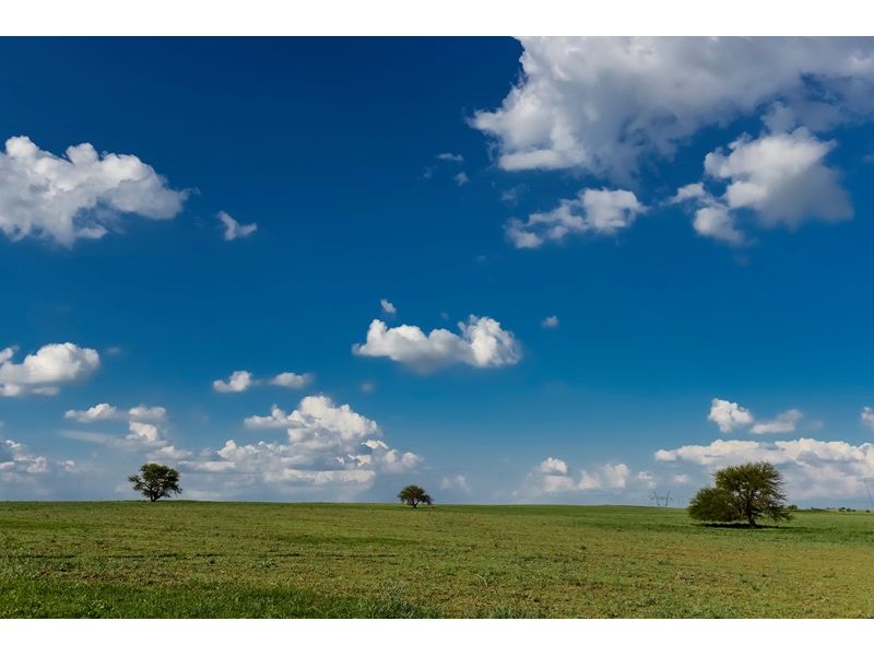Campanha Gaúcha e Trem do Pampa: Bagé, Dom Pedrito, Sant`Ana do Livramento e Rivera - imagem 11