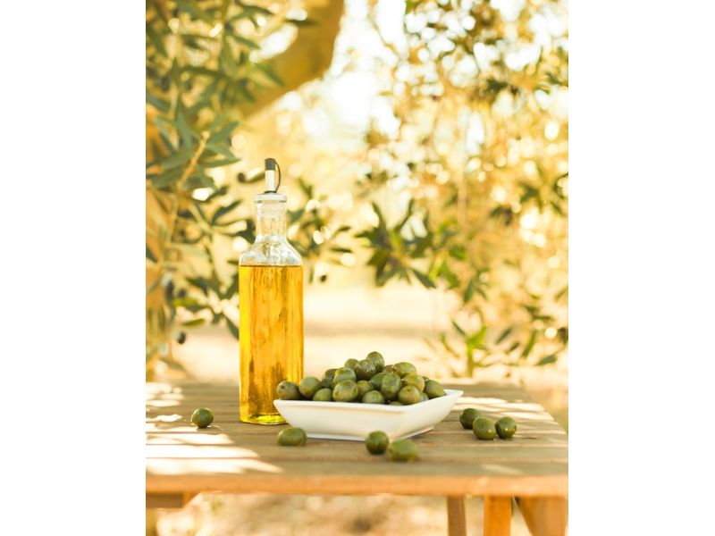 Campanha Gaúcha e Trem do Pampa: Bagé, Dom Pedrito, Sant`Ana do Livramento e Rivera - imagem 22