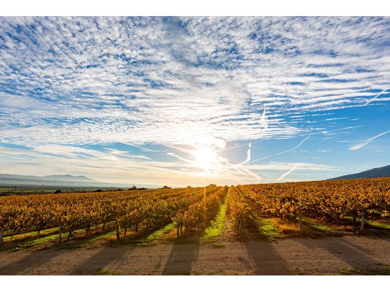 Campanha Gaúcha e Trem do Pampa: Bagé, Dom Pedrito, Sant`Ana do Livramento e Rivera - imagem 13