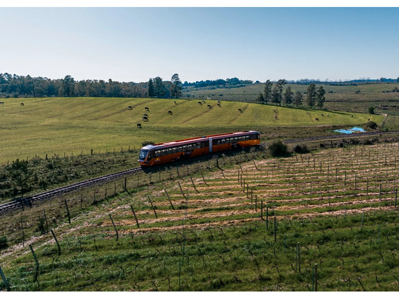 Campanha Gaúcha e Trem do Pampa: Bagé, Sant`Ana do Livramento e Rivera - imagem 2