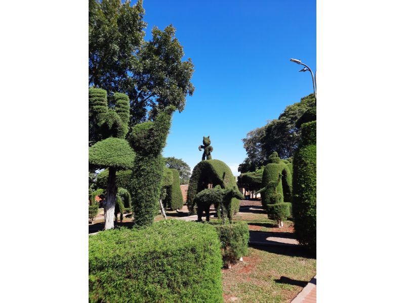 Ametista do Sul, Salto do Yucumã, Frederico Westphalen e Victor Graeff - imagem 11