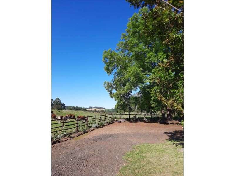 Cataratas de Quilombo e Treze Tílias - imagem 14