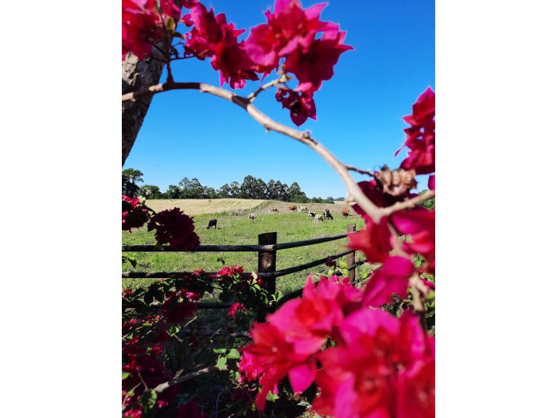 Cataratas de Quilombo e Treze Tílias - imagem 6