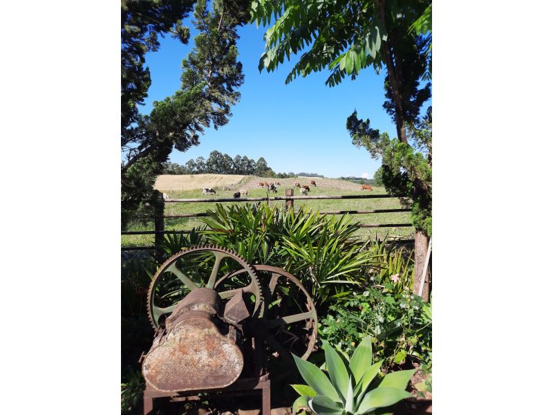 Cataratas de Quilombo e Treze Tílias - imagem 3