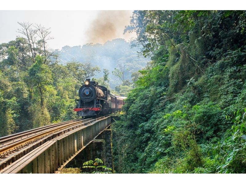 Caminho dos Príncipes: Barco Príncipe e Trem Serra do Mar Catarinense - Rio Negrinho, Corupá e Joinville - imagem 6