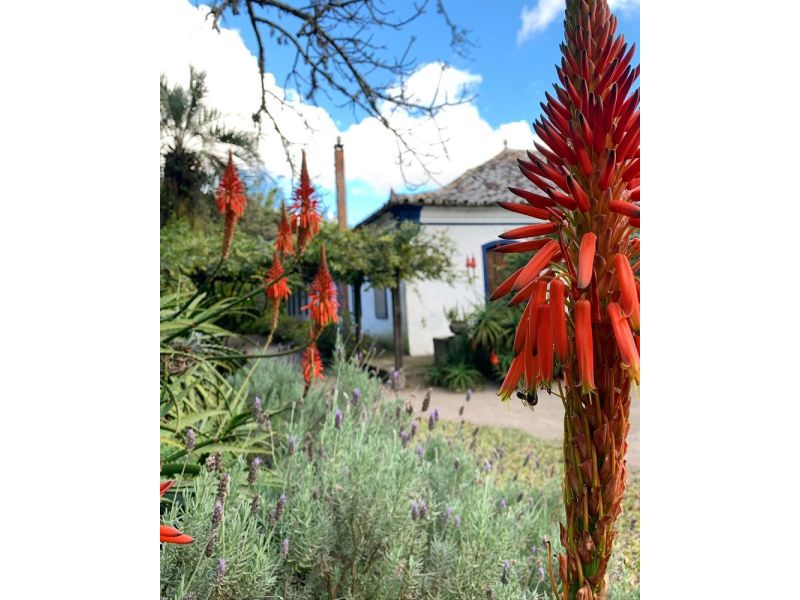 Costa Doce: Rio Grande, Pelotas e São José do Norte - imagem 19
