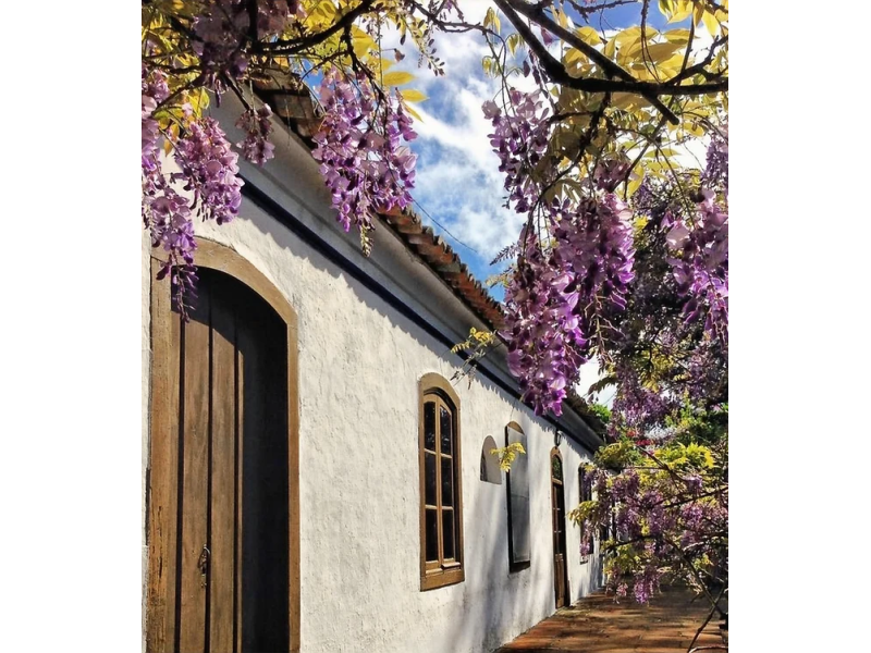 Costa Doce: Rio Grande, Pelotas e São José do Norte - imagem 16