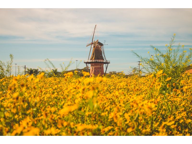 Holambra e Campos do Jordão - imagem 16