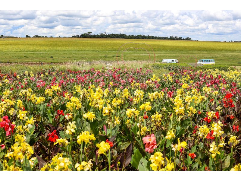 Holambra e Campos do Jordão - imagem 5