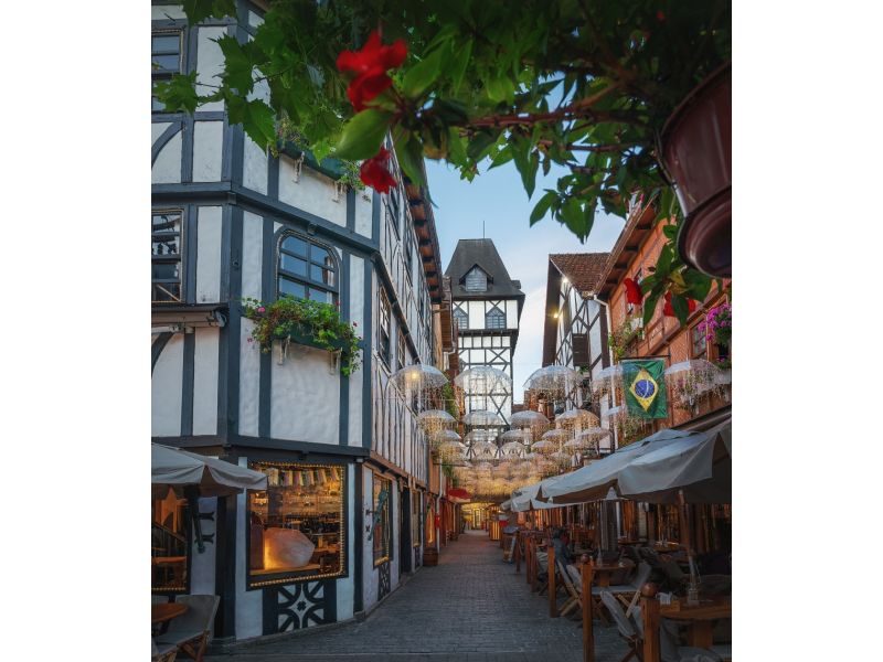 Holambra e Campos do Jordão - imagem 15