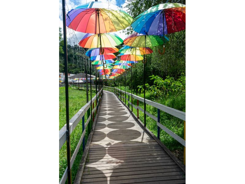 Holambra e Campos do Jordão - imagem 10