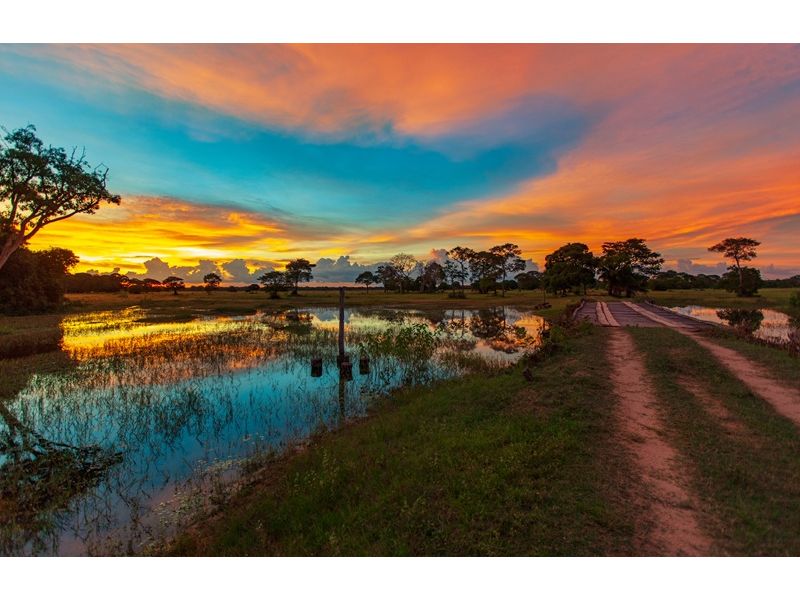 Circuito Pantaneiro - Bonito e Pantanal - imagem 2
