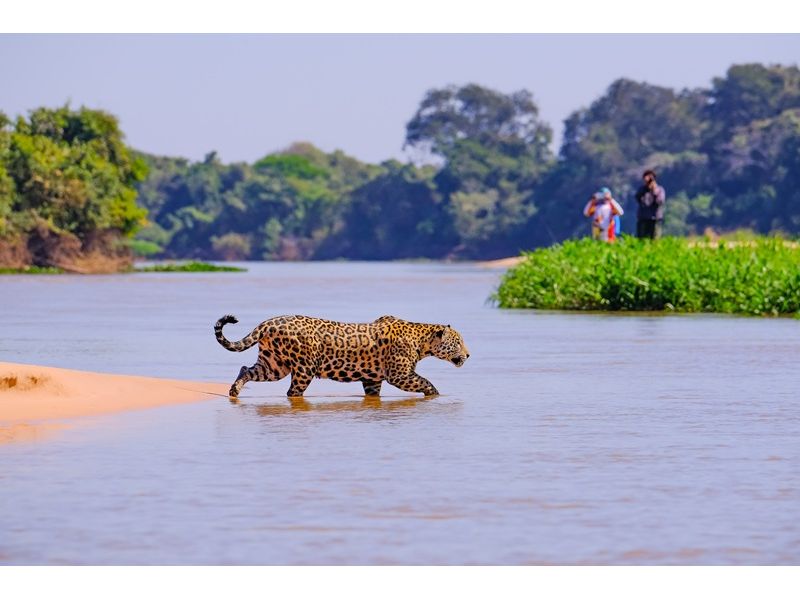 Circuito Pantaneiro: Bonito e Pantanal