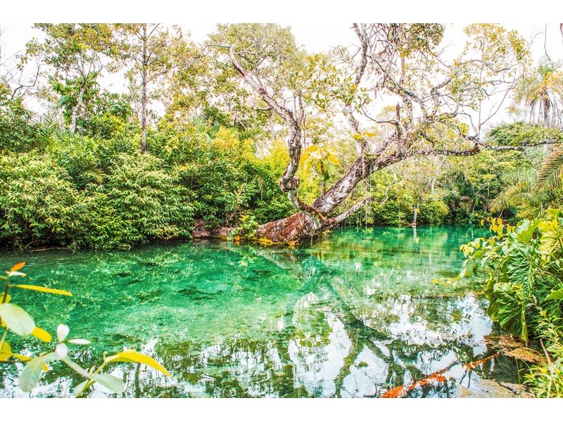 Circuito Pantaneiro: Bonito e Pantanal - imagem 20