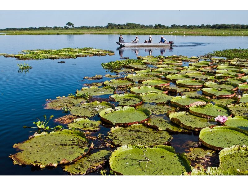 Circuito Pantaneiro: Bonito e Pantanal - imagem 3