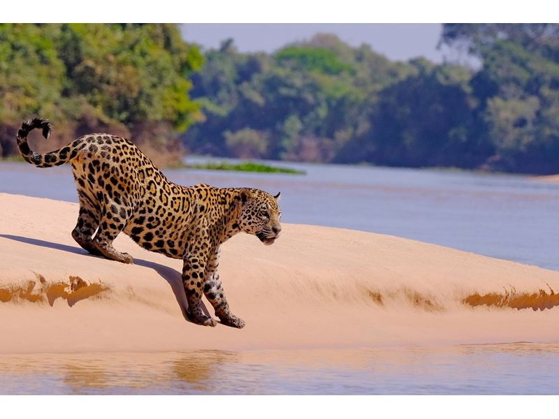 Circuito Pantaneiro: Bonito e Pantanal - imagem 5