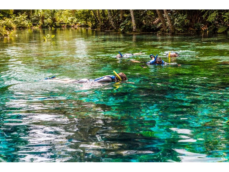 Circuito Pantaneiro: Bonito e Pantanal - imagem 22