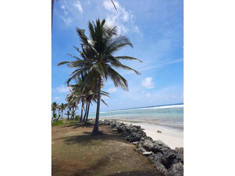 Colômbia dos Encantos: Cartagena, San Andrés e Bogotá - imagem 26