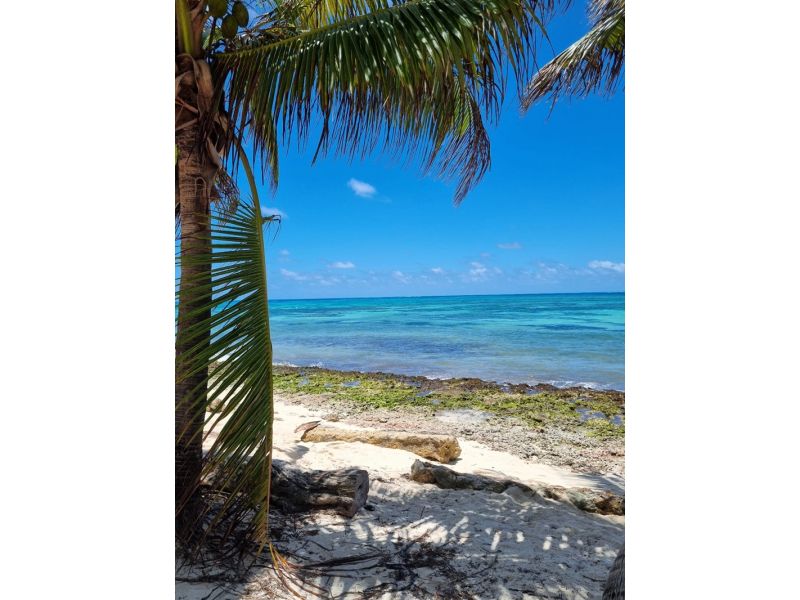 Colômbia dos Encantos: Cartagena, San Andrés e Bogotá - imagem 27