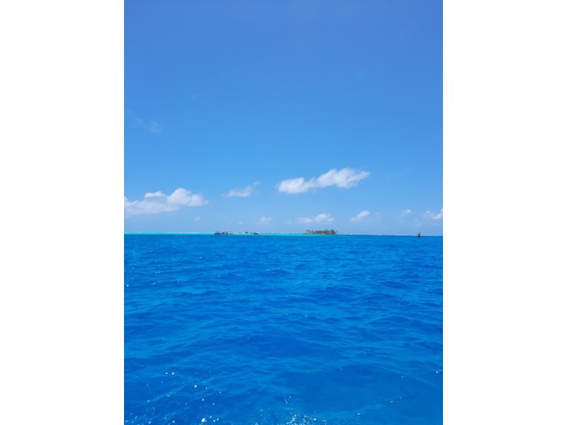 Colômbia dos Encantos: Cartagena, San Andrés e Bogotá - imagem 25